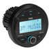 Radio Mgr300B