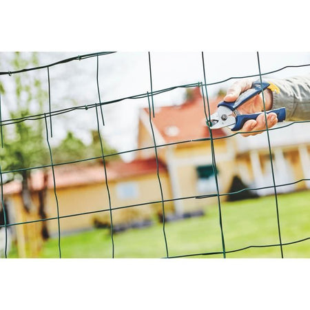 morsetto ha FP20 torrefazione - RAPID