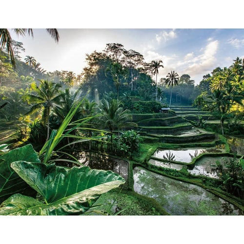 Puzzle da 2000 pezzi Nel cuore di Bali, Adulti e bambini dai 14 anni, Escape Collection, 12001518, Nathan