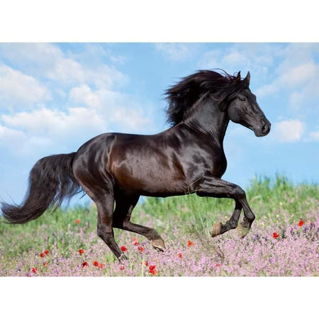 Puzzle XXL stallone nero da 200 pezzi - Bambino - Paesaggio e natura - 8 anni - 12803 - Ravensburger