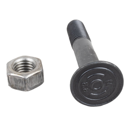 Bullone tspqst 120° M12x70 con dado confezione da 25 pezzi