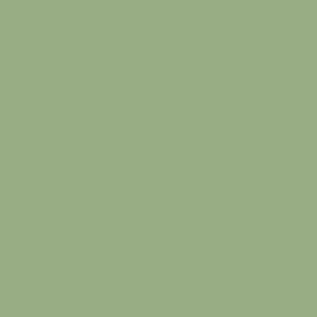 RIPOLIN Pittura per legno per interni ed esterni - Verde oliva Ral 6021 satinato, 2,5L