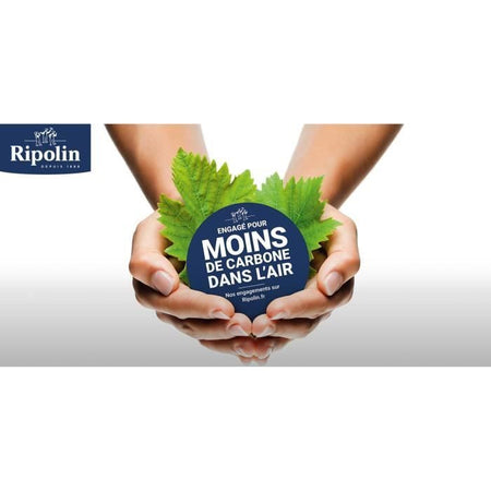 RIPOLIN EXTREME PROTEZIONE FACCIATA BIANCO Opaco 10 L