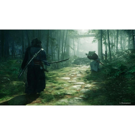 El ascenso del Ronin  Juego de PS5