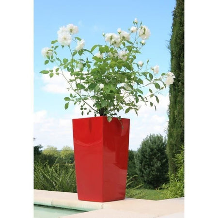 giardino del contenitore in plastica