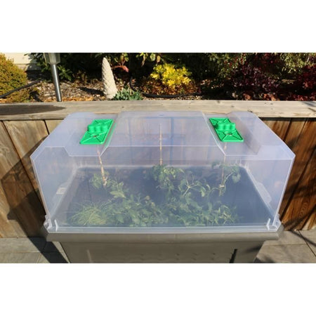 IZISERRE 80 TRASLUCENTE