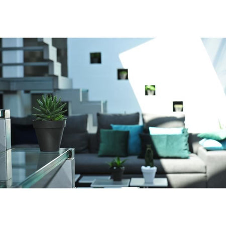 SOLEILLA ROND 50 BIANCO