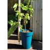 Fioriera RIVIERA SOLEILLA - Plastica - Altezza 53 cm - Blu