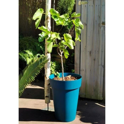 Fioriera RIVIERA SOLEILLA - Plastica - Altezza 53 cm - Blu