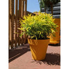 Fioriera rotonda RIVIERA SOLEILLA - Plastica - Diametro 60 cm - Giallo