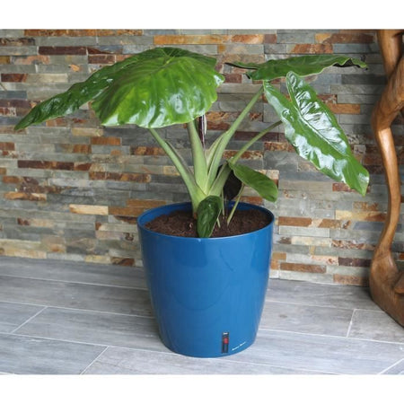 Fioriera rotonda RIVIERA EVA NEW - Plastica - Diametro 31 cm - Blu
