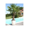 Fioriera rotonda RIVIERA EVA NEW - Plastica - Diametro 36 cm - Blu