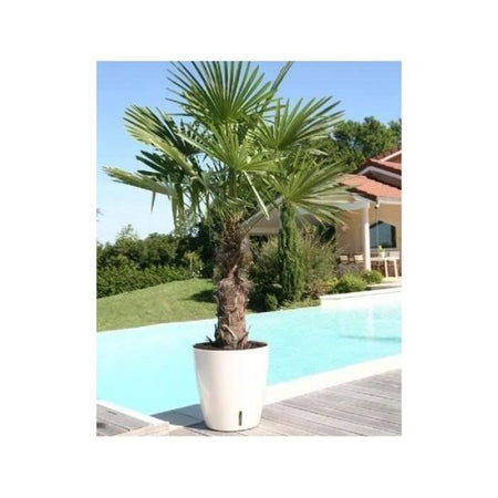 Fioriera rotonda RIVIERA EVA NEW - Plastica - Diametro 36 cm - Blu