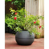 RIVIERA - vaso di fiori a sfera - D40 - grigio