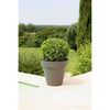 giardino del contenitore in plastica