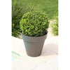 giardino del contenitore in plastica
