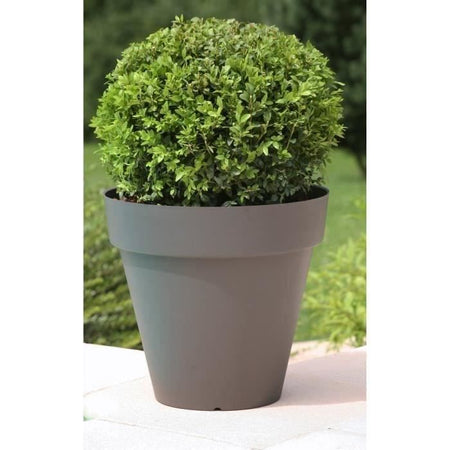 giardino del contenitore in plastica