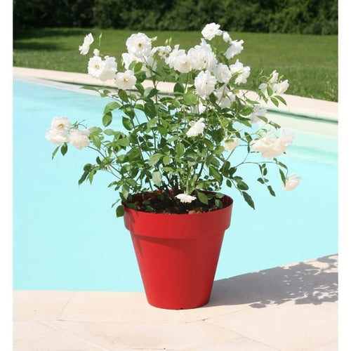 Vaso per fiori RIVIERA Soleilla - Rotondo -  60 x 53,6 cm - Rosso