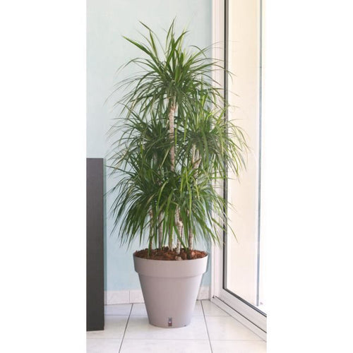 giardino del contenitore in plastica