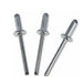 Rivetti Inox A2 Mm.4,8X20 Pz. 100