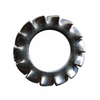 Rond.Dent.A2 Mm.10