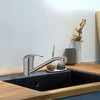 Miscelatore lavello - Edouard Rousseau - CARDIFF - Cromo - Bocca girevole - Risparmio idrico