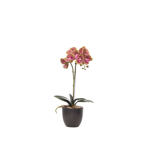 Pianta artificiale Schonherr Wedding Love Naturaltouch