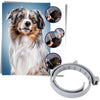 Offerta 2x Collare Seresto Bayer Cani Piccoli <8kg Antiparassitario Pulci Zecche Buste Sigillate (No Latta)