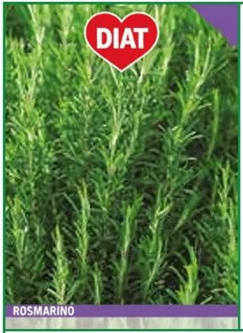 Rosmarino Pianta Aromatica Semi Four