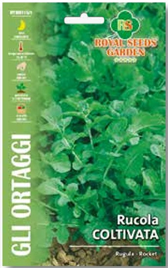 Rucola Coltivata