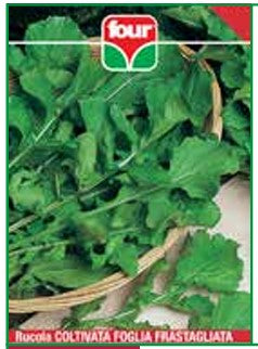 Rucola Coltivata Foglia Frastagliata