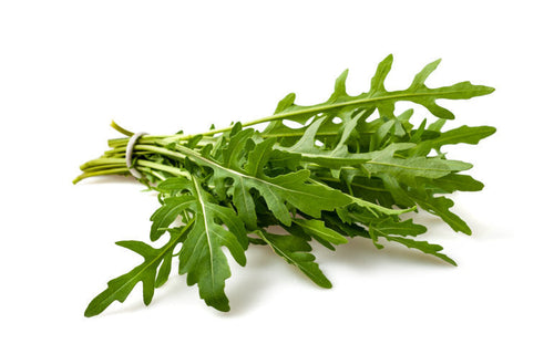Semi di rucola Da orto piante per orto e giardino coltivazione domestica e professionale