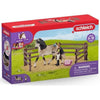 Schleich - Kit di cura dei cavalli Andalusian - 42270 - Range Club Horse Club