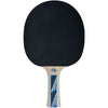 Racchetta da ping pong - SCHILDKRT - LEGENDS 700 FSC