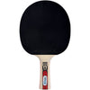Racchetta da ping pong - SCHILDKRT - LEGENDS 900 FSC