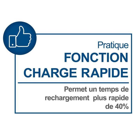 Caricabatterie doppio - SCHEPPACH - 4,5 A - SDBC4,5A - Carica contemporaneamente due batterie agli ioni di litio della gamma Scheppach 20V IXES