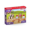 SCHLEICH - Ranch Training - 72157 - Gamma di club di cavalli
