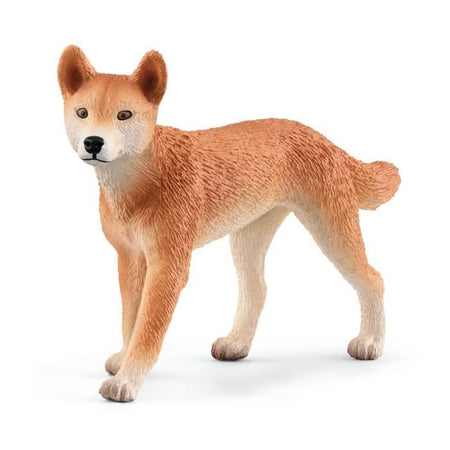 Cofanetto Avventure in Oceania, figurine di animali selvatici, Schleich 42550 Wild Life, per bambini dai 3 anni