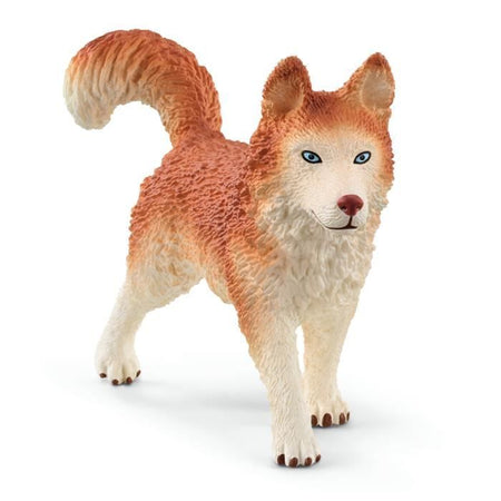Scatola per spedizione in Antartide, figurine di animali selvatici, Schleich 42558 Wild Life, per bambini dai 3 anni