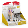 SCHLEICH - Luna e Baby Thestral - 42636 - Gamma Harry Potter