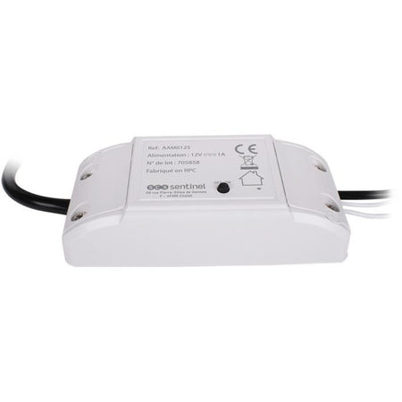 Modulo ricevitore - SCS SENTINEL - WifiGate - Connesso