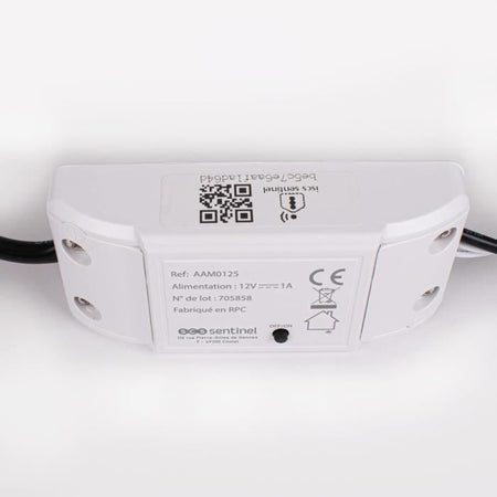 Modulo ricevitore - SCS SENTINEL - WifiGate - Connesso