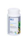 Serotonin Plus