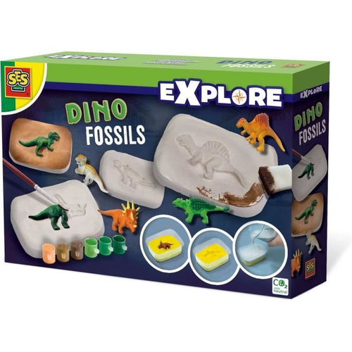 SES CREATIVE - fossili di dinosauro