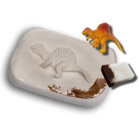 SES CREATIVE - fossili di dinosauro