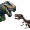 Scavo di dinosauri e scheletri 2 in 1 - T-rex - SES CREATIVE