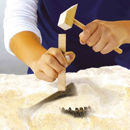 Scavo di dinosauri e scheletri 2 in 1 - Triceratopo - SES CREATIVE