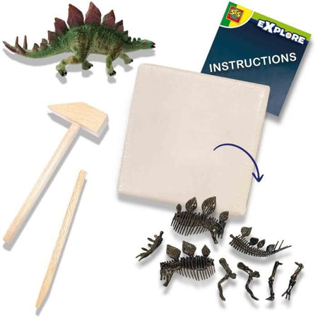 Scavo di dinosauri e scheletri 2 in 1 - Stegosaurus - SES CREATIVE