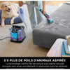 SHARK PX250EUT StainStriker HairPro Smacchiatore per Animali Domestici - Tappeti, Moquette, Mobili, Scale, Auto - 450W - 1,2 L - 1,26 m