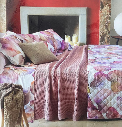 Completo Lenzuola Singolo Aurora Tessitura Randi Percalle Cotone 200TC